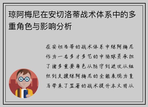琼阿梅尼在安切洛蒂战术体系中的多重角色与影响分析